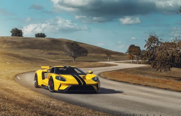 Ford, суперкар, Ford GT, 2018, ANRKY
