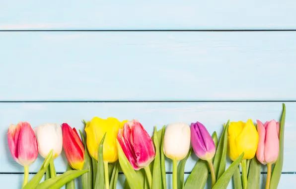 Цветы, colorful, тюльпаны, wood, flowers, tulips, spring