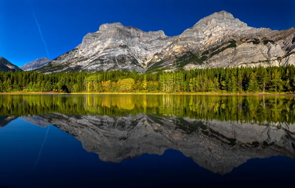 Картинка осень, лес, горы, озеро, отражение, Канада, Альберта, Alberta