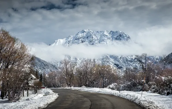 Зима, снег, деревья, пейзаж, горы, road, trees, landscape