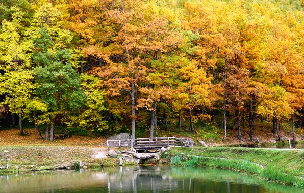 Картинка осень, деревья, пейзаж, мост, природа, озеро, Landscape, trees