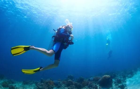 Ocean, diving, diving suit