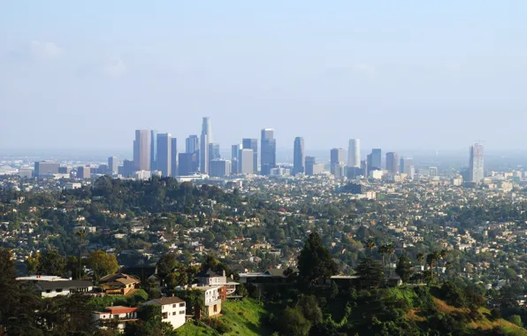 Деревья, парк, дома, небоскребы, мегаполис, Los Angeles, Downtown
