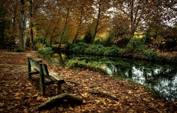 Картинка осень, парк, река, скамья
