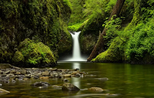 Картинка камни, берег, растительность, водопад, водоем