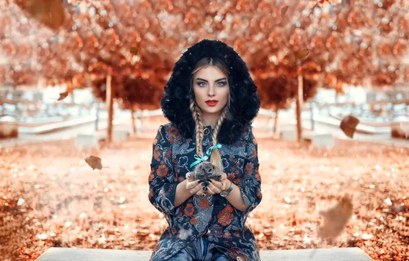 Картинка осень, девушка, листопад, ёжик, Alessandro Di Cicco