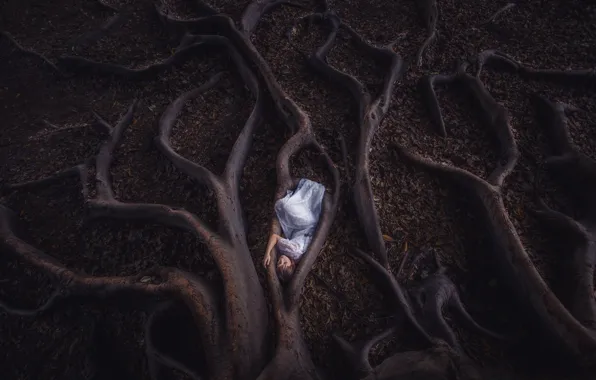Картинка девушка, корни, дерево, листва