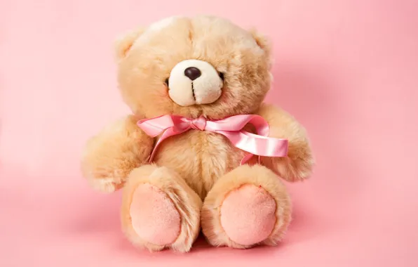 Игрушка, мишка, плюшевый, toy, bear, pink, cute, Teddy