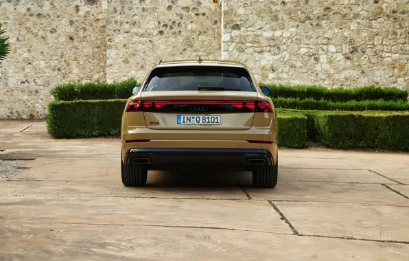 Картинка Audi, rear, Q8, Audi Q8 2024