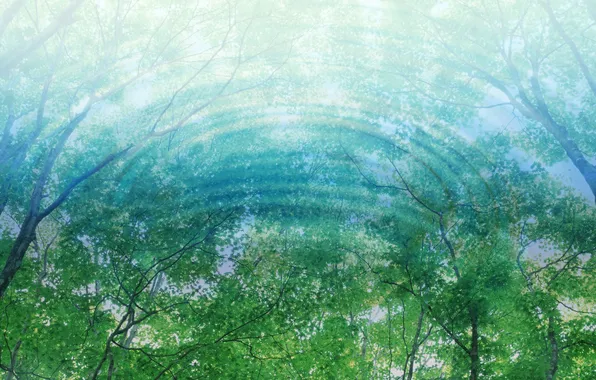 Картинка вода, свет, отражение, листва, Деревья