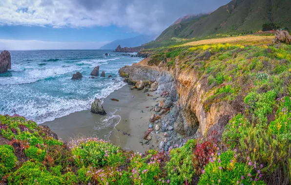 Небо, цветы, океан, побережье, вид, Калифорния, California, Big Sur