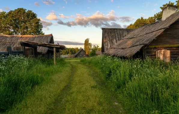 Дорога, небо, трава, облака, деревья, деревня, домики, заброшенная