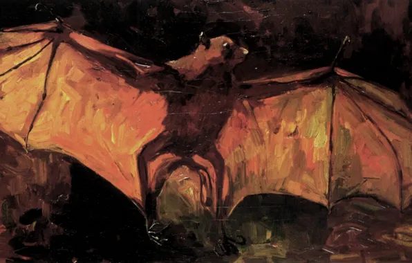 Картинка летучая мышь, Vincent van Gogh, Flying Fox