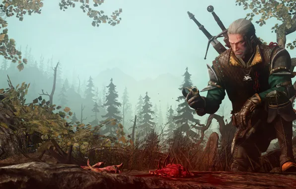 Лес, оружие, останки, воин, The Witcher, Geralt of Rivia