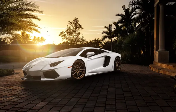 Картинка белый, солнце, пальмы, Lamborghini, перед, white, блик, особняк