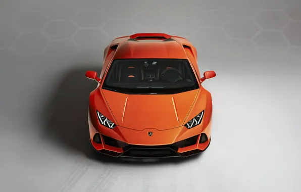 Lamborghini, суперкар, вид спереди, Evo, Huracan, 2019, Lamborghini Huracan Evo