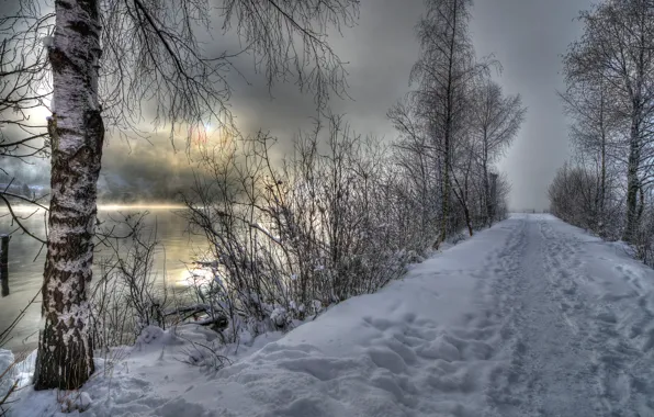 Картинка зима, снег, река, берёза