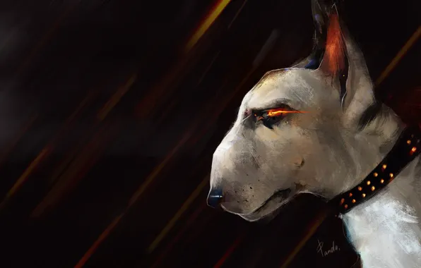 Собака, Рисунок, Глаза, Шарик, Пасть, Морда, Fantasy, Dog