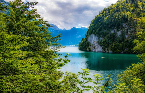 Картинка зелень, деревья, горы, ветки, озеро, скалы, Германия, Бавария