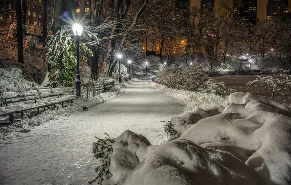 Картинка зима, снег, деревья, ночь, огни, парк, Нью-Йорк, фонари