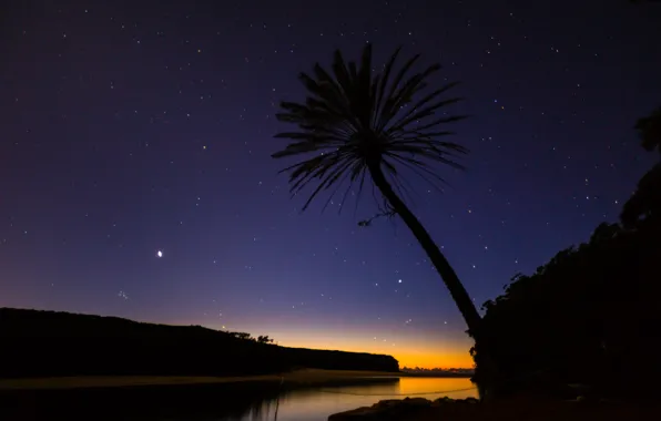 Пляж, звезды, пальма, дерево, вечер, Австрия, национальный парк