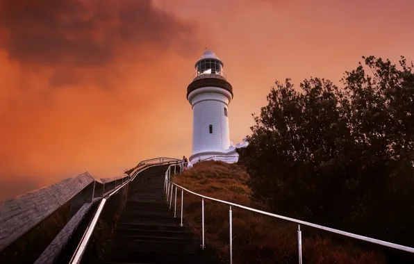 Australia, New South Wales, Cape Byron Lighthouse, Palm Valley