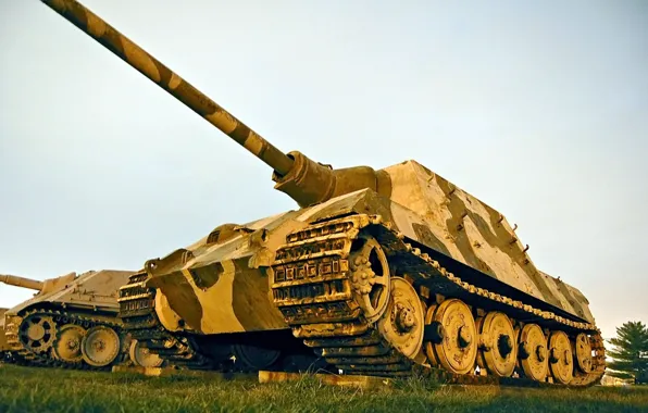 ВОВ, военная техника, противотанковая САУ, Jagdtiger (H)