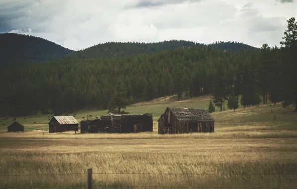 Field, landscapes, hills, wooden, buildings, North, Autumn Aurora