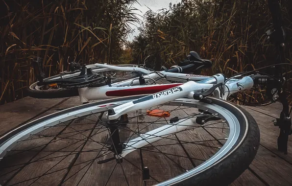 Спорт, sport, bicycle, bike, вело
