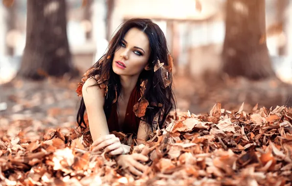 Картинка осень, листья, девушка, волосы, пробуждение, Alessandro Di Cicco, Iced Eyes