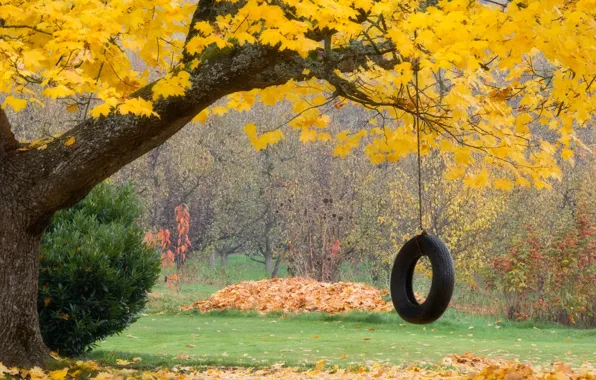Картинка осень, листья, колесо