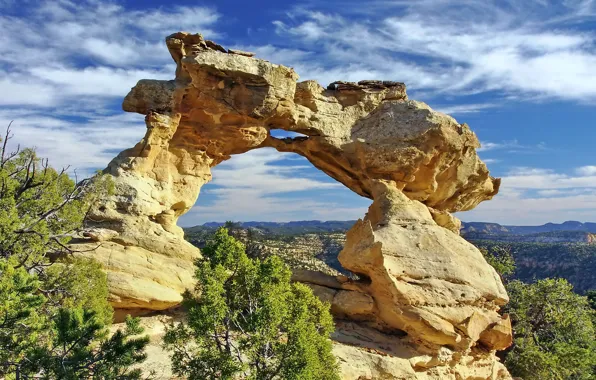 Картинка небо, облака, деревья, скалы, арка, США, штат Юта, песчаник