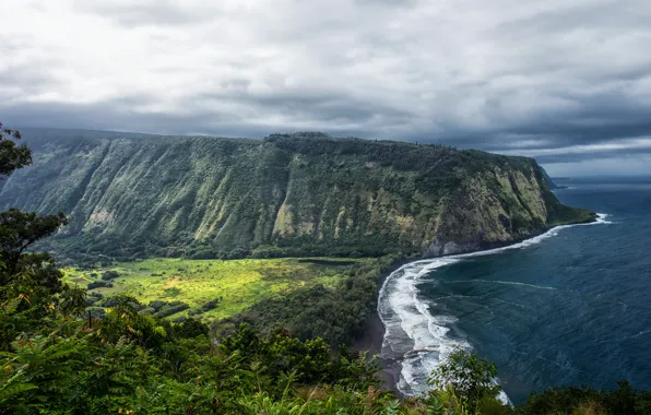 Картинка океан, Скала, Гавайи, Утес, США, Побережье, Waipio Valley