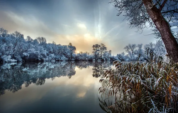 Картинка зима, иней, трава, деревья, природа, озеро, Robert Didierjean