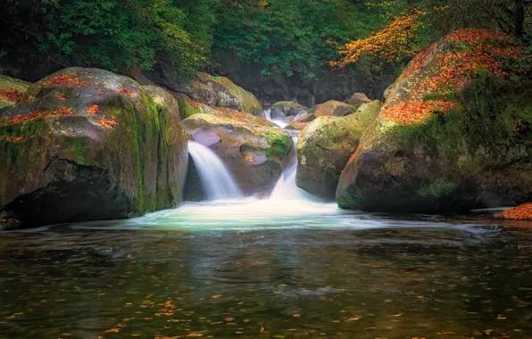 Лес, скалы, берег, водопад, поток