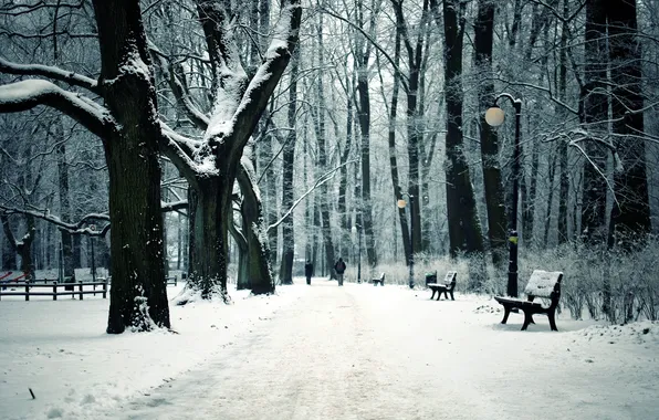 Картинка зима, город, парк, скамьи