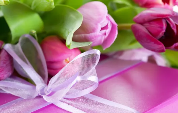 Цветок, фиолетовый, листья, цветы, сиреневый, розовый, праздник, коробка
