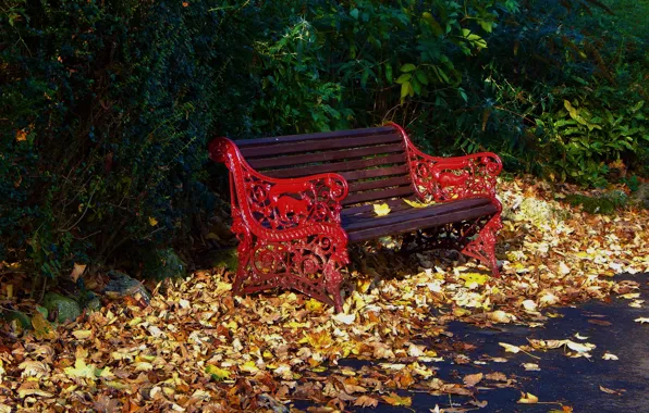 Скамейка, парк, листва, Осень, листопад, park, autumn, leaves