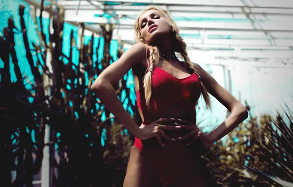 Купальник, поза, руки, фигура, косички