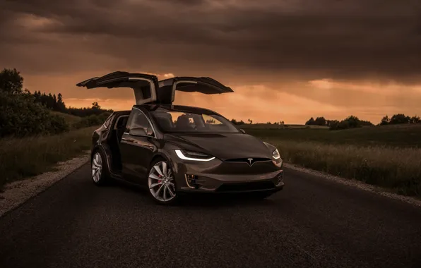 Вечер, Tesla, Model X