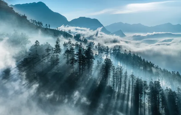 Картинка горы, туман, утро