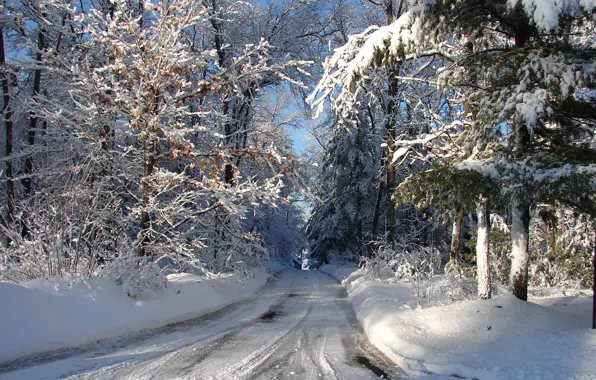 Зима, дорога, лес, снег, мороз, Висконсин, USA, США