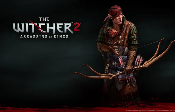 Картинка игра, rpg, the witcher 2, игра года, the witcher 2 assassins of kings, cd projekt …