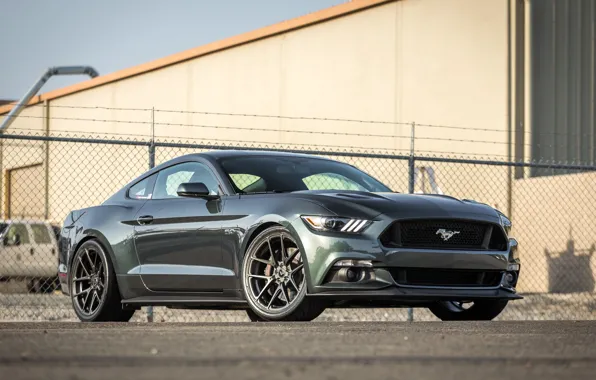 Mustang, Ford, Vorsteiner