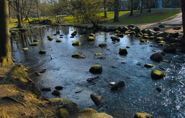 River, water, park, stones