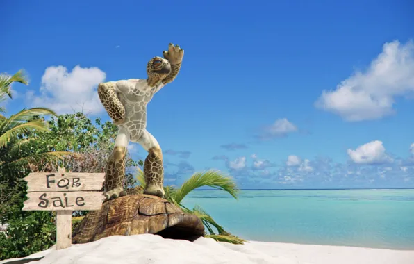 Табличка, черепаха, панцирь, Turtle Freedom For Sale