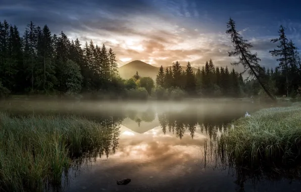 Картинка осень, природа, туман, озеро, утро