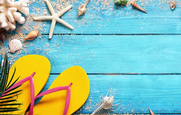 Пляж, лето, звезды, отдых, ракушки, summer, beach, каникулы