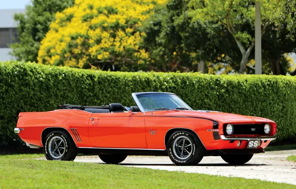 Camaro, chevrole, lets
