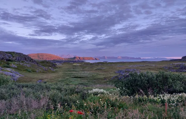 Море, цветы, горы, облока, Норвегигя